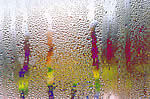 External Condensation on a UPVC Window